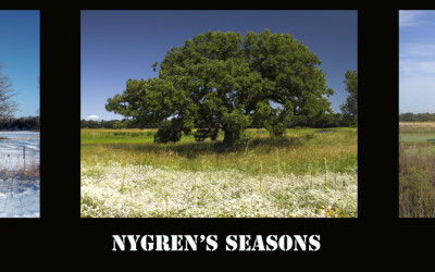 Nygrens Seasons