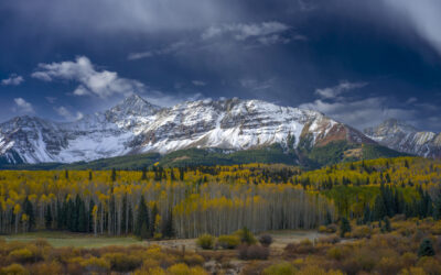 MOUNTAIN LOOKING GLASS